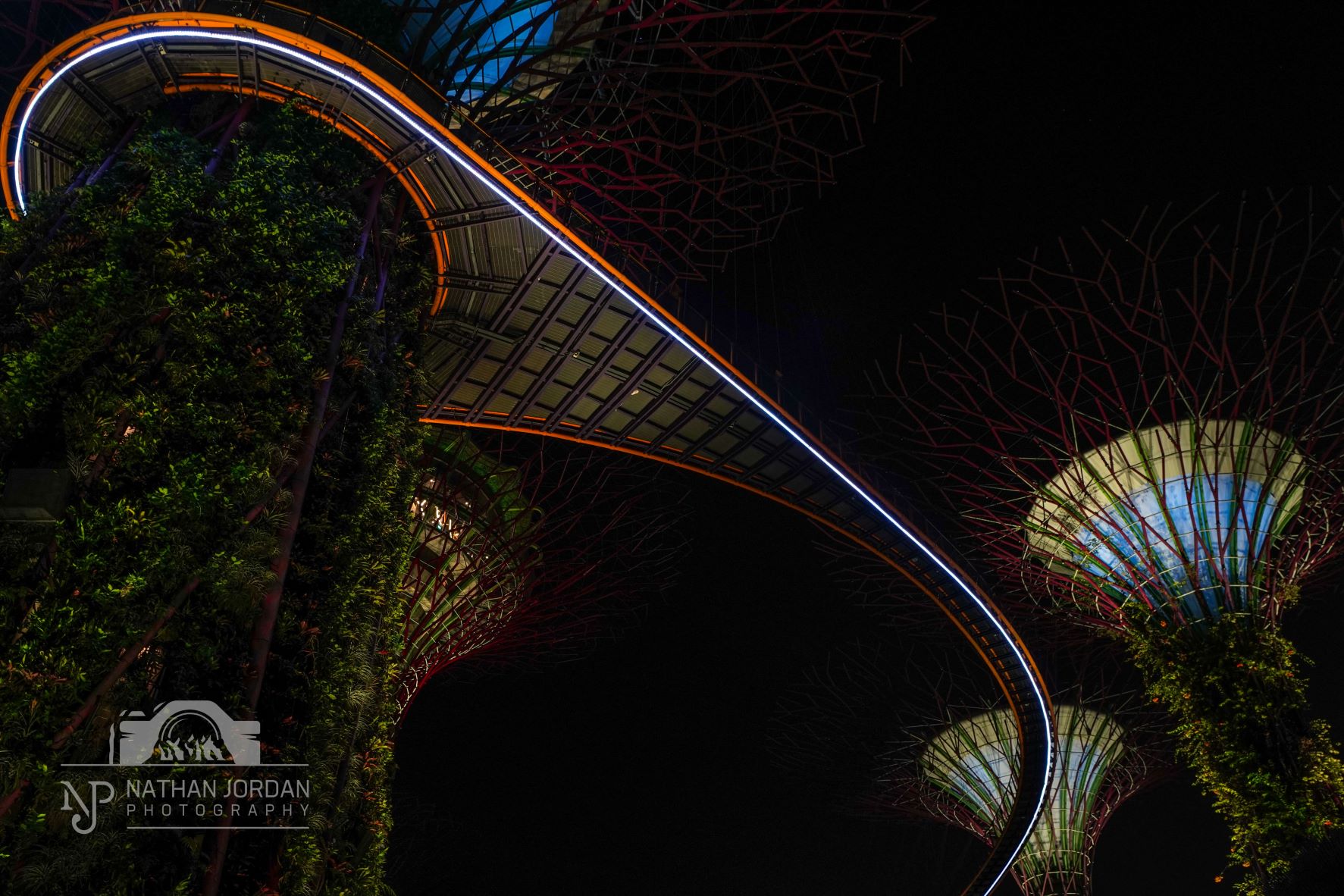 Marina Bay Sands Supertrees at night in Singapore nathan jordan photography